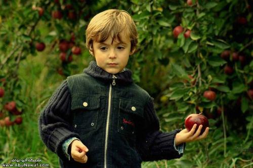 kid - hold apple