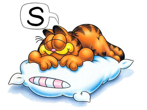 Sleep - Garfield 