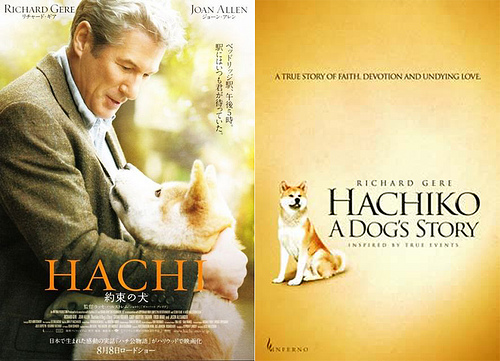 Hachi - Hachiko: A Dog's Story