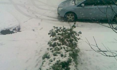 Snow in England - Snow in England.
