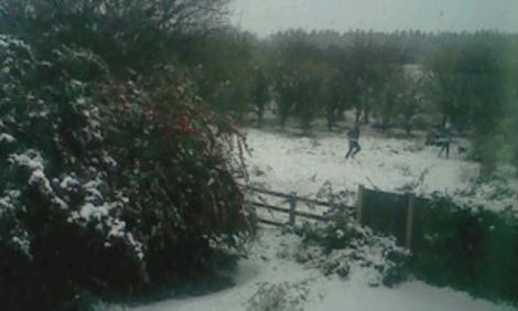 Snow in Essex - Snow in Essex, UK.
