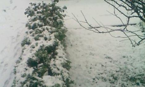 Snow in UK - The snow at Christmas 2010 in England.