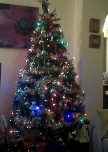 Christmas Tree - A Christmas tree.
