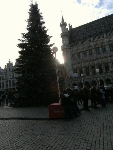 Christmas tree in Calais - Christmas in Calais, France.