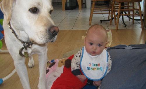 My dog and my baby - My dog likes to hang around with him a lot.