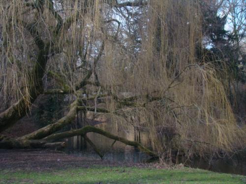 pic from the park in Amsterdam - Enjoy!