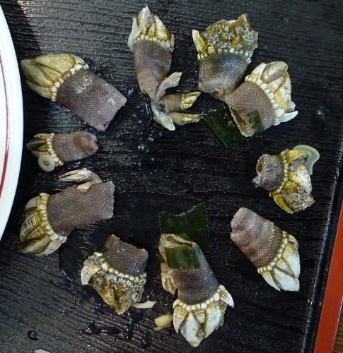 Weird Japanese Seafood - What in the world is this?