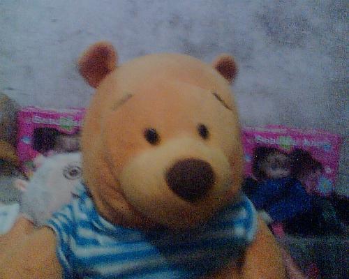 huggable teddy - be with teddy