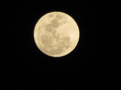 super moonnnnnn - This picture is taken by me at 4AM just to share with my fellow mylotters