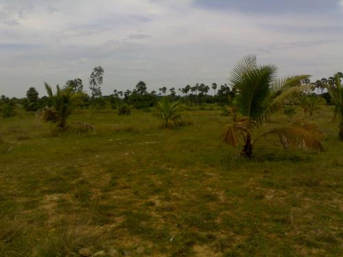 Beauty of Nature - nature is beautiful