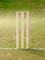 Cricket - The Stumps - The stumps are displayed in this Photo. It symbolises the game of cricket.
