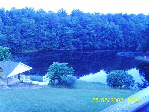 Our Lake At Dusk - This was taken at dusk when there was very little sunlight left. That's why it's so dark and 'bluish'.