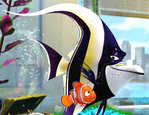 Finding Nemo - Scar fish and Nemo