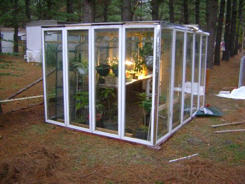 My green house  - This is the 'building' that I plan to do the aquponics in. I built this out of pre-framed double pane windows.  I was able to get these of of craigslist