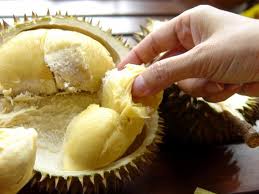 durian - This is durian in Vietnam. They're very smell and sweet.