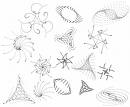 Earth - natural history - Earth - natural history