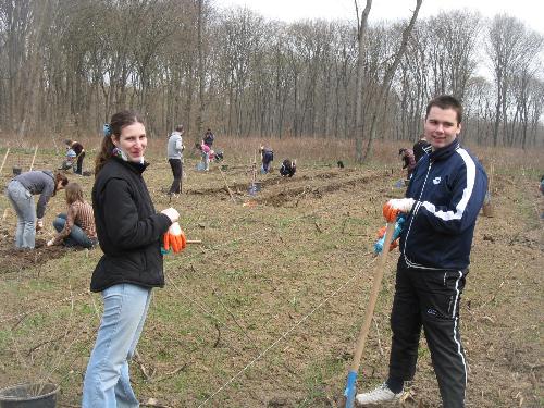 Planting Trees Snagov 2011 - This is from 2nd of april 2011, when we planted about 3.000 young trees at Snagov, near Bucharest, Romania