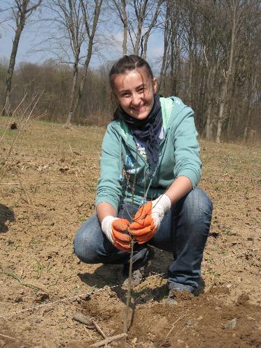 Let's plant with a smile - Planting trees should be fun, not only tiresome, so let's smile when we plant, how about that ? :) At Snagov, near Bucharest, this april, in Romania.