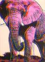 Threatened & Endangered Species - Threatened & Endangered Species