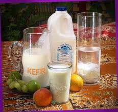Kefir - Kefir is a cultured, enzyme-rich food filled with friendly micro-organisms that help balance your “inner ecosystem.” More nutritious and therapeutic than yogurt, it supplies complete protein, essential minerals, and valuable B vitamins. Kefir - Kefir is a cultured, enzyme-rich food filled with friendly micro-organisms that help balance your “inner ecosystem.” More nutritious and therapeutic than yogurt, it supplies complete protein, essential minerals, and valuable B vitamins.