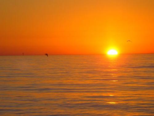 Sunrise - Sunrise on Surfside Beach, Texas.