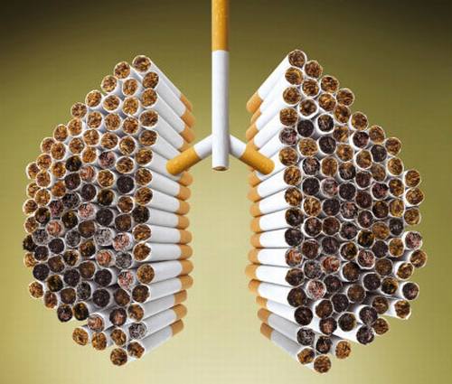 smoking  - smoking is dangerous for your health 