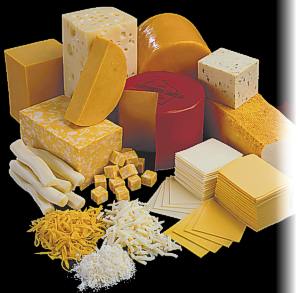 maturing cheese - An image of maturing cheese for this category