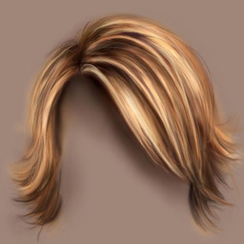 hair - an image of hair for this category