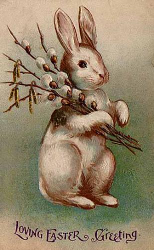 Easter Bunny - The Easter Bunny on a Easter postcard! So cute!
