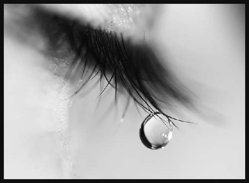 Tears - This is an image of Tears