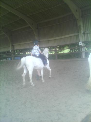 My youngest son on a gallop - Loves to gallop.