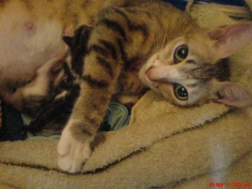 nursing - Thats as soon as she finished giving birth