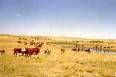 endangered species legislation -  endangered species legislation