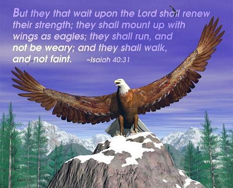 Isaiah 40:30 - My Favorite Scripture