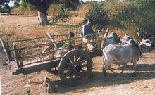 Bullock Cart - This cart is being pulled by two Zebu oxen.