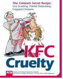 KFC cruelty - killing chickens