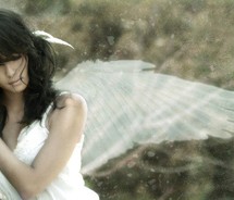 Fragilewings - Fragile wings.