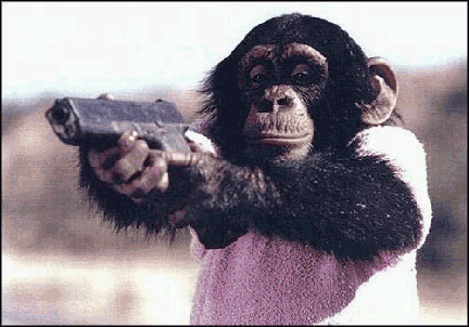 chimp glock - a chimp aiming a glock