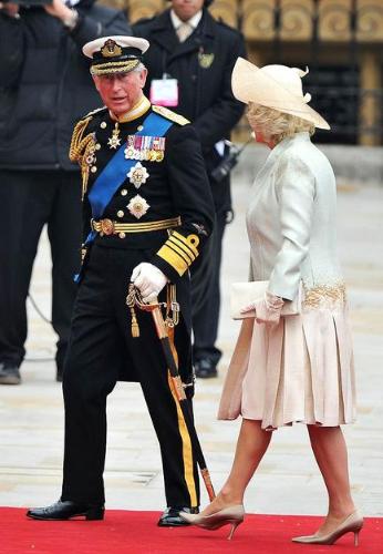Charles and Camille - Prince Charles and the Duchess of Cornwall going into the Westminter Abbey for Willims Wedding.
