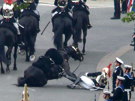 oops! - On the way to Buckingham Palace and behind the Royal pocession one of the Queen's guard's horse stumbled and his rider came off. I was concerned when I saw the photo at first but when I heard both the horse and rider were ok,I felt better!