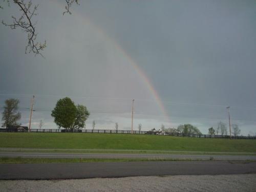 Rainbow - A Rainbow after a rain storm!