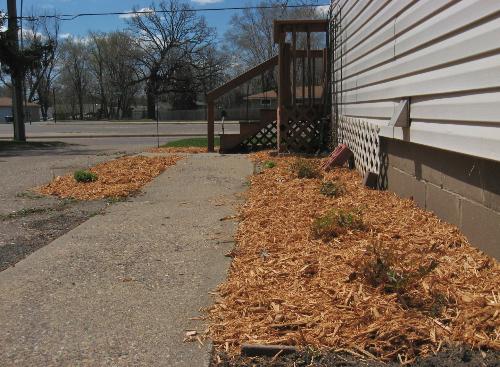 Just a sample of my flower beds - Mulch laid in most my flower beds finally. Just a sample of my flower beds - Mulch laid in most my flower beds finally.