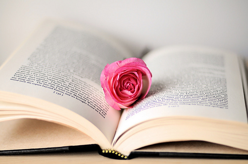 book - rose on the book