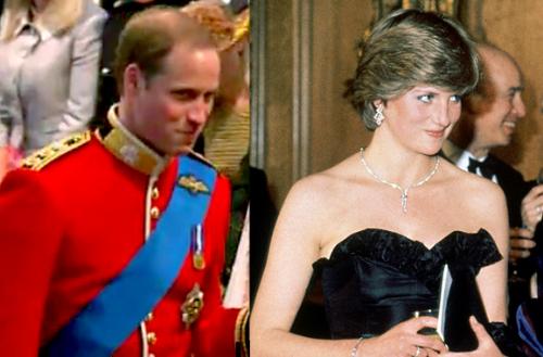 Prince William and Diana - Prince William and Diana have the same smile.