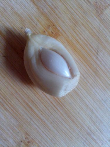 Garlic - A garlic