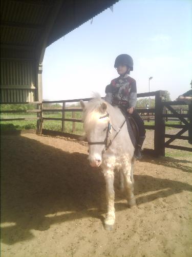 My son - Is doing great at his horse riding