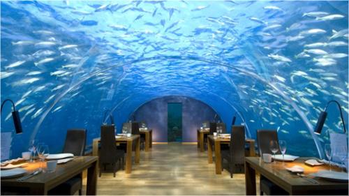 Ithaa Undersea Restaurant at Hilton Hotel - At 16 feet below sea level this is an amazing restaurant in Conrad Maldives Rangali Island.

Picture from www.Hilton.com