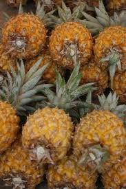 Pineapples - It was given the name pineapple due to its resemblance to a pine cone. Pineapple can be consumed fresh, canned or juiced and can be used in a variety of ways especially in fruit cocktails. Pineapples - It was given the name pineapple due to its resemblance to a pine cone. Pineapple can be consumed fresh, canned or juiced and can be used in a variety of ways especially in fruit cocktails.