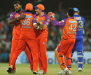 Kochi Team - Kochi Team celebrating Shane Watson's Wicket