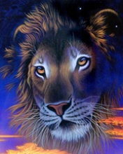 lion - its king of jungal